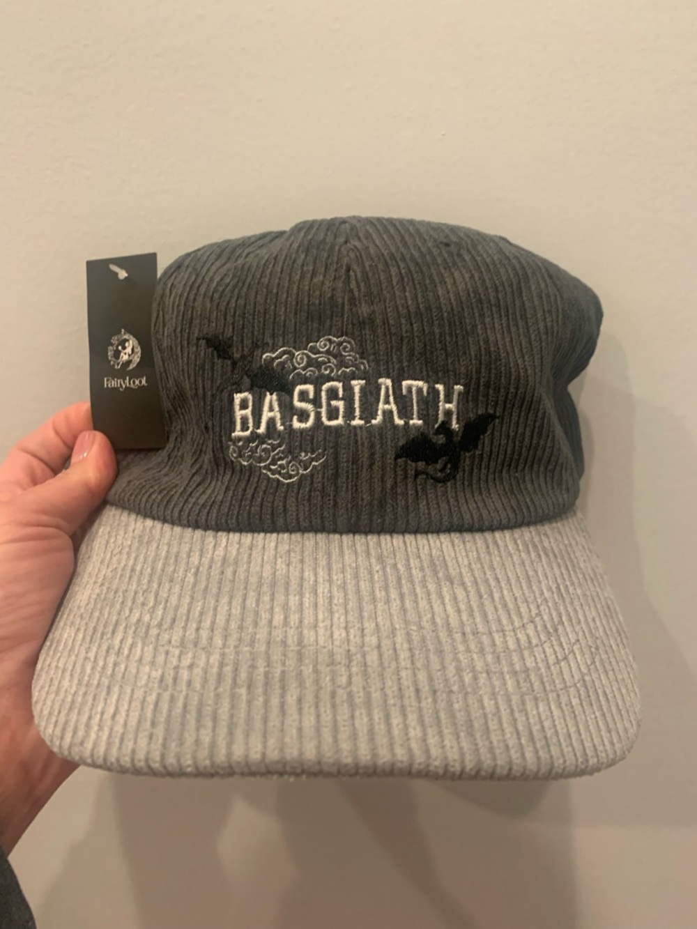 Fourth Wing BASGIATH Two-Tone Gray Corduroy Baseball Cap